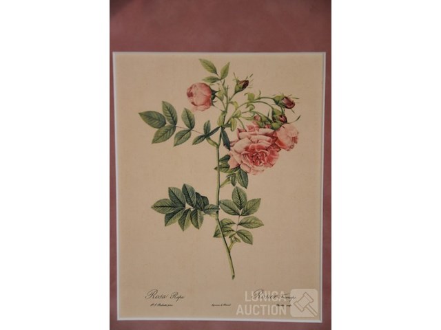 Antieke prints/zeefdrukken - afbeelding 3 van  9