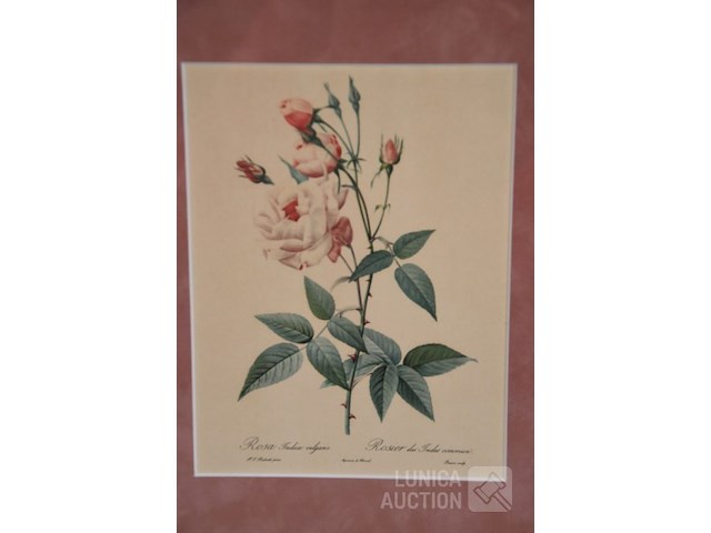 Antieke prints/zeefdrukken - afbeelding 4 van  9