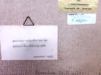 Antieke staalgravure van het stadhuis in rotterdam - afbeelding 5 van  5