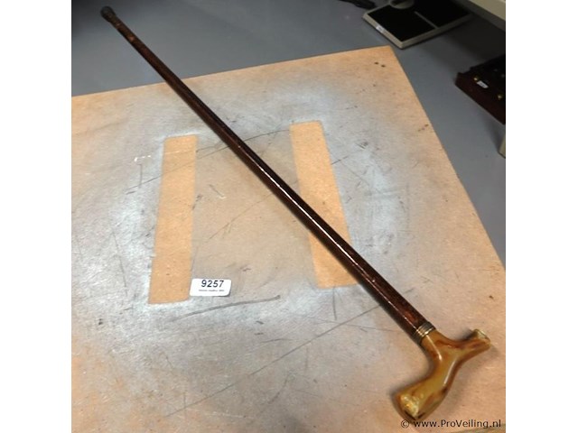 Antieke wandelstok met amber/jade?. handvat - afbeelding 2 van  5