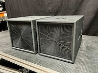 Apia c-sub subwoofer (2x)