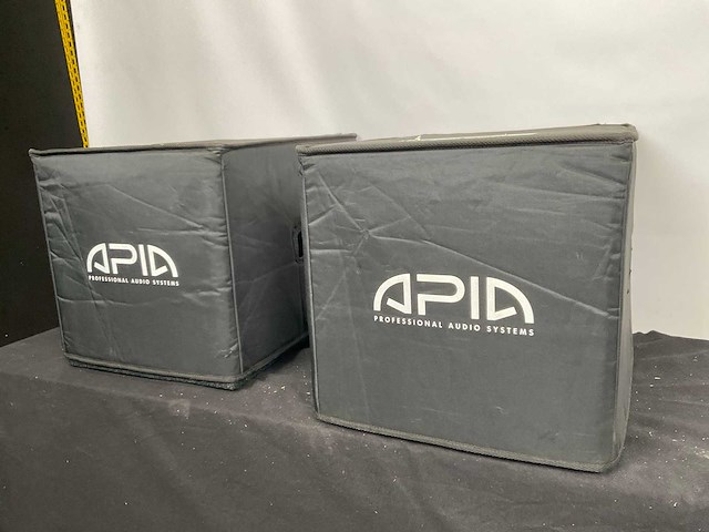 Apia c-sub subwoofer (2x) - afbeelding 3 van  3