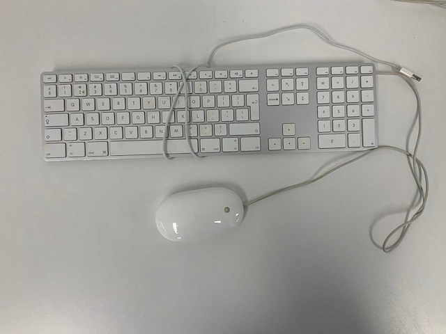 Apple - a1243 magic wired qwerty keyboard + a1152 wired magic mouse - afbeelding 1 van  1