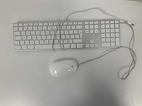 Apple - a1243 magic wired qwerty keyboard + a1152 wired magic mouse - afbeelding 1 van  1