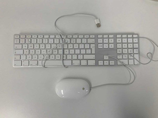 Apple - a1243 magic wired qwerty keyboard + a1152 wired magic mouse - afbeelding 1 van  1