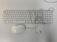 Apple - a1243 magic wired qwerty keyboard + a1152 wired magic mouse - afbeelding 1 van  1