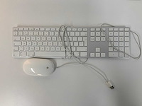 Apple - a1243 magic wired qwerty keyboard + a1152 wired magic mouse - afbeelding 1 van  1
