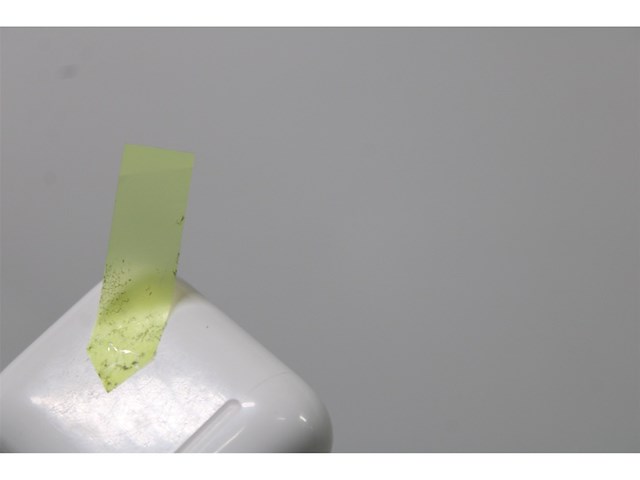 Apple airpods 2 wit - afbeelding 6 van  6