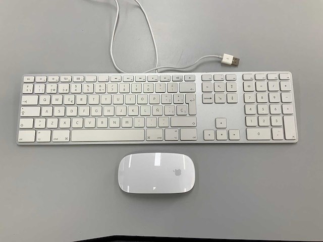Apple magic qwerty(spaans) usb keyboard with numeric keypad & magic mouse - afbeelding 1 van  2