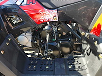 Appollo - commander 110 - quad - afbeelding 4 van  15