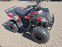 Appollo - commander 110 - quad - afbeelding 12 van  15