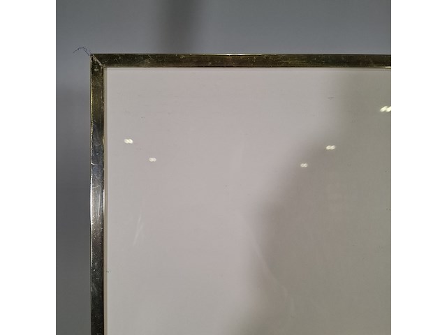 Aquarel, maya wildevuur, boeket, 1989 - afbeelding 9 van  10