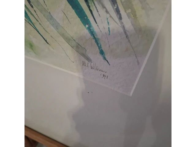 Aquarel, maya wildevuur, bouquet, 1993 - afbeelding 5 van  9