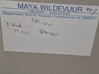 Aquarel, maya wildevuur, het wad, 1989 - afbeelding 8 van  8