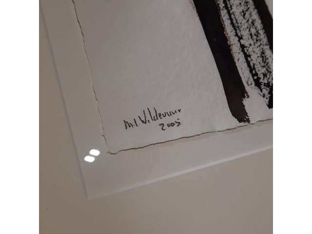 Aquarel, maya wildevuur, hoogleraar, 2005 - afbeelding 5 van  6