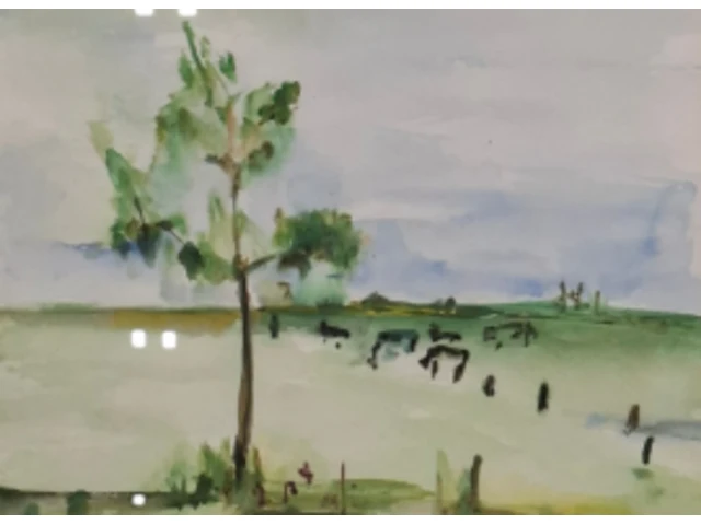Aquarel, maya wildevuur, weiland bij beilen - afbeelding 1 van  7