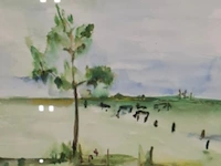 Aquarel, maya wildevuur, weiland bij beilen