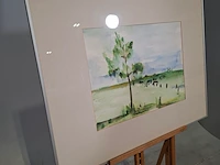 Aquarel, maya wildevuur, weiland bij beilen - afbeelding 3 van  7