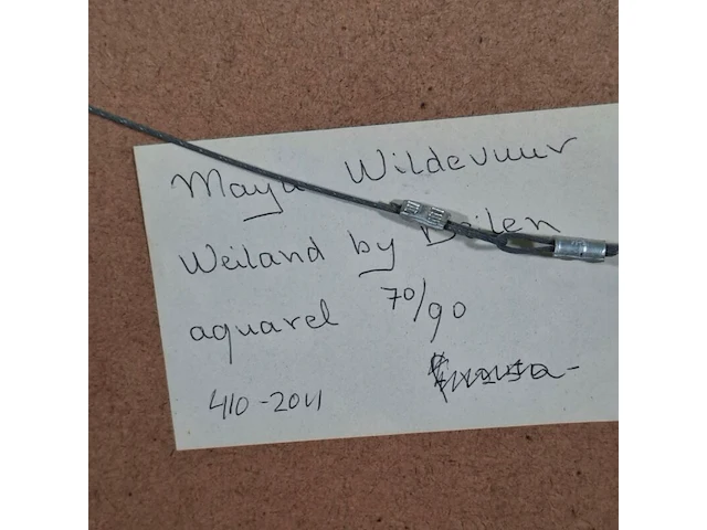 Aquarel, maya wildevuur, weiland bij beilen - afbeelding 7 van  7