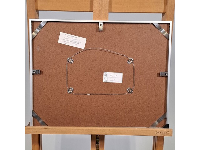 Aquarel, maya wildevuur, zwemsters, 2006 - afbeelding 7 van  8