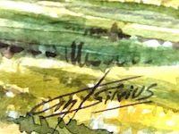 Aquarel - afbeelding 4 van  5