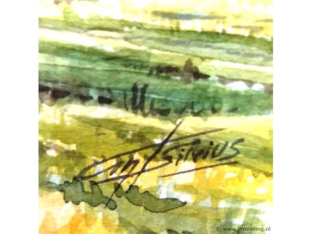 Aquarel - afbeelding 4 van  5