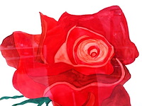 Aquarel - afbeelding 3 van  5