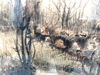 Aquarel - afbeelding 3 van  5