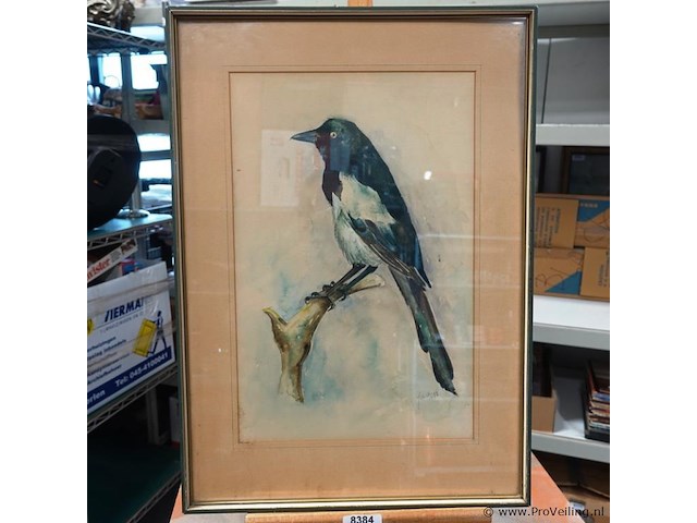 Aquarel - afbeelding 1 van  5