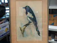 Aquarel - afbeelding 1 van  5
