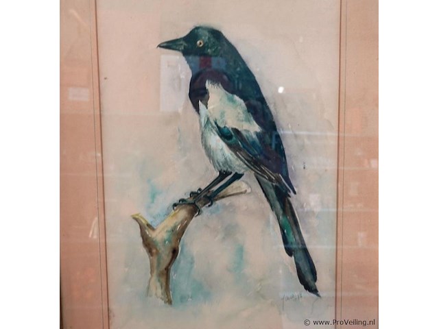 Aquarel - afbeelding 2 van  5