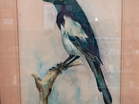 Aquarel - afbeelding 2 van  5