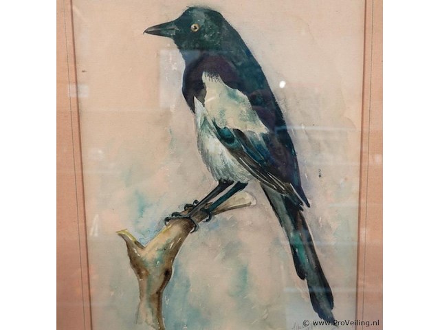 Aquarel - afbeelding 3 van  5
