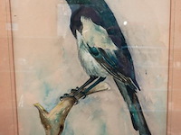 Aquarel - afbeelding 3 van  5