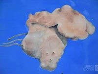 Aquarel - afbeelding 2 van  3