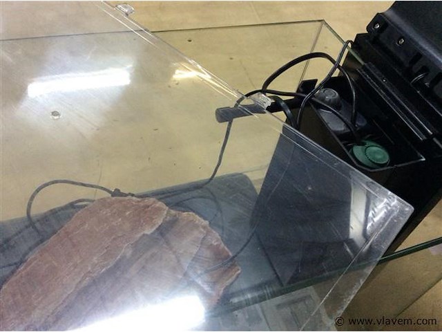 Aquarium + toebehoren werkend - afbeelding 3 van  5