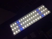 Aquarium + toebehoren werkend - afbeelding 4 van  5