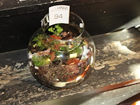 Aquarium tuin doorsnede 25 cm. - afbeelding 1 van  2