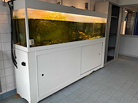 Aquarium - afbeelding 1 van  9
