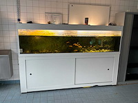 Aquarium - afbeelding 2 van  9