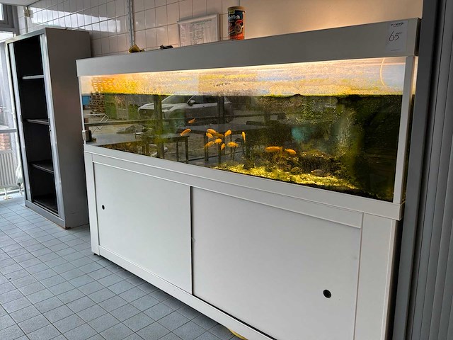 Aquarium - afbeelding 3 van  9