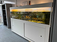 Aquarium - afbeelding 3 van  9