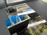 Aquarium - afbeelding 9 van  9