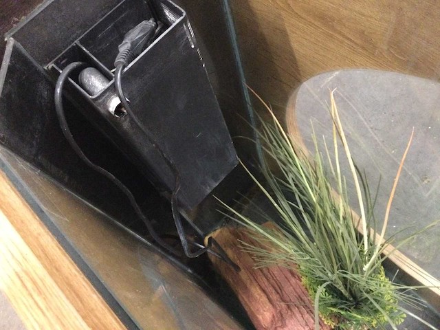 Aquatlantis aquafashion aquarium - afbeelding 6 van  6