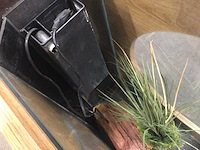 Aquatlantis aquafashion aquarium - afbeelding 6 van  6