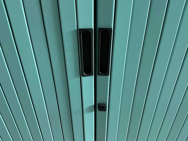 Archiefkast 120x47,5x196 cm (2x) - afbeelding 5 van  8