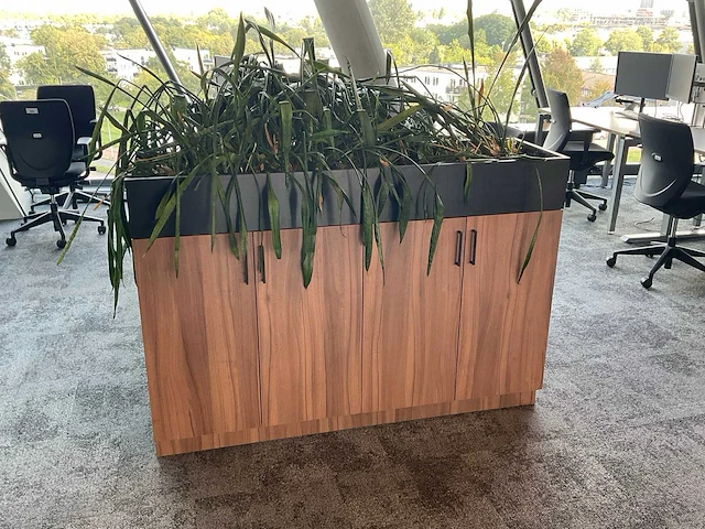 Archiefkast met plantenbak - afbeelding 2 van  3