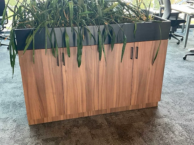Archiefkast met plantenbak - afbeelding 1 van  3