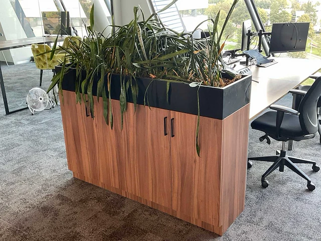 Archiefkast met plantenbak - afbeelding 3 van  3