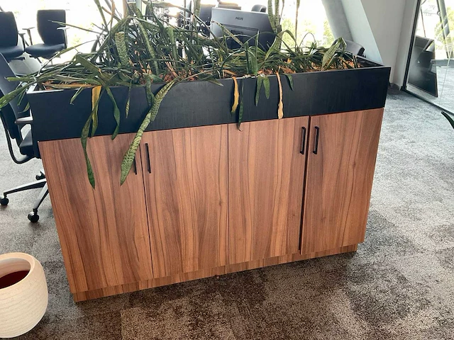 Archiefkast met plantenbak - afbeelding 2 van  2